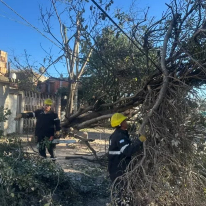 Municipalidad de Salta: intervino en 135 incidentes por el viento y el fuego