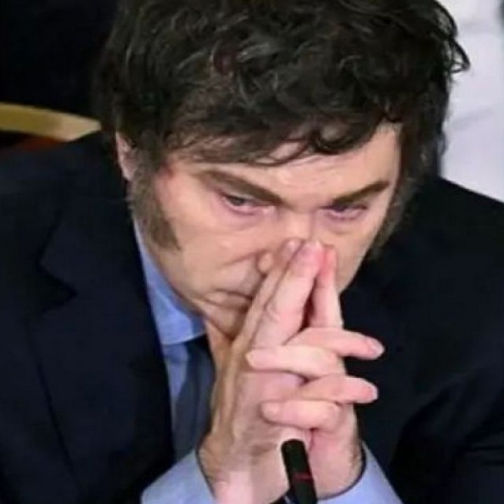 Encuesta: Milei quedó cuarto abajo de Francos, Bullrich y Santilli entre los votantes libertarios