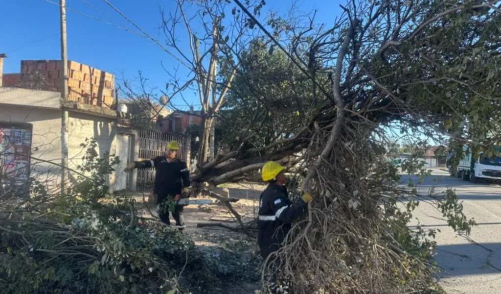 Municipalidad de Salta: intervino en 135 incidentes por el viento y el fuego