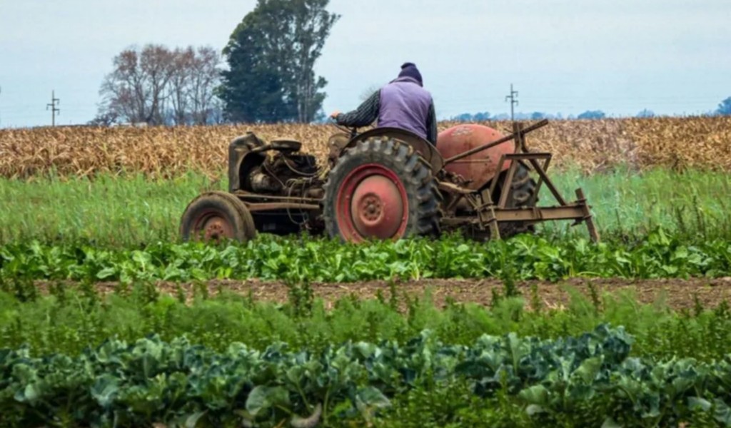 De la Ley de Discapacidad al bolsillo de 10 exportadores: 1500 millones de dólares regalados por Milei y Caputo