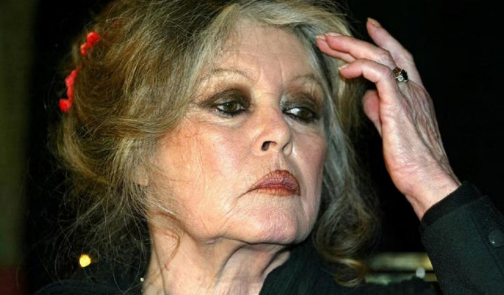 Brigitte Bardot, ícono de la belleza y leyenda del cine, murió a los 91 años