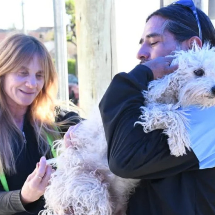 MUNICIPALIDAD DE SALTA: Habrá vacunación masiva para conmemorar el Día Mundial contra la Rabia