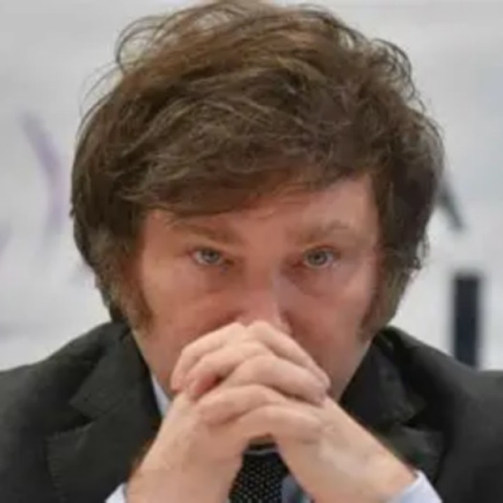 Qué margen tiene Javier Milei para vetar y judicializar las leyes que aprobó el Senado
