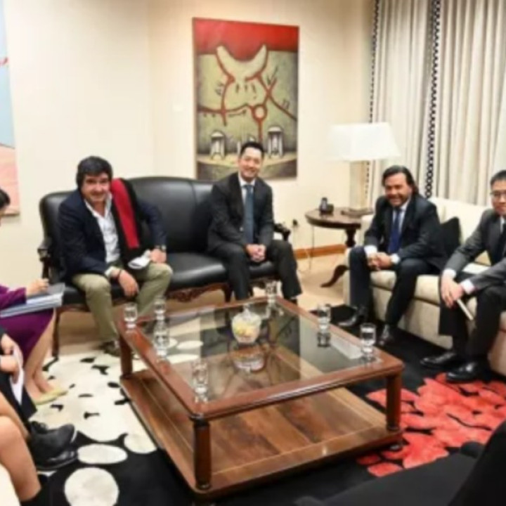 El Gobernador se reunió con directivos de la minera PLASA para avanzar en un proyecto sustentable de litio en el Salar de Diablillos