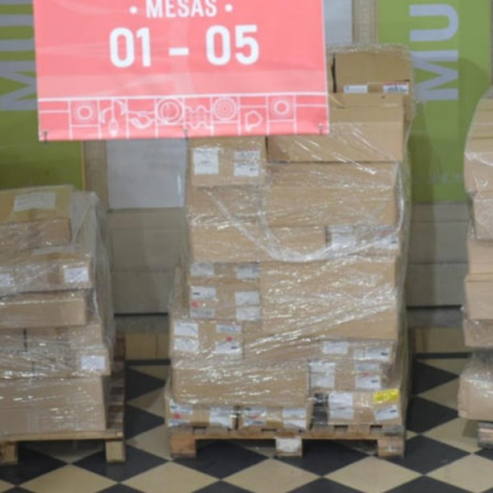 El Gobierno quiere pagar las boletas de Santilli 